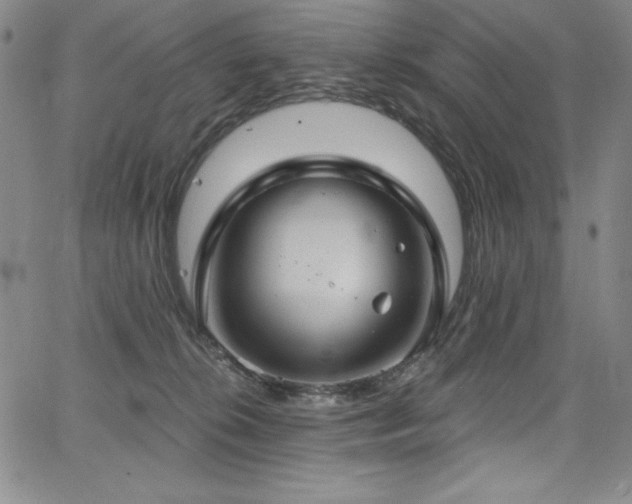 X0000068270276200604211118