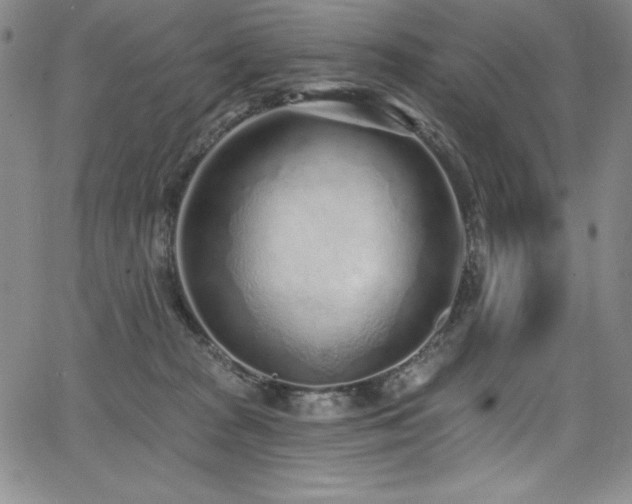 X0000068270277200604211118