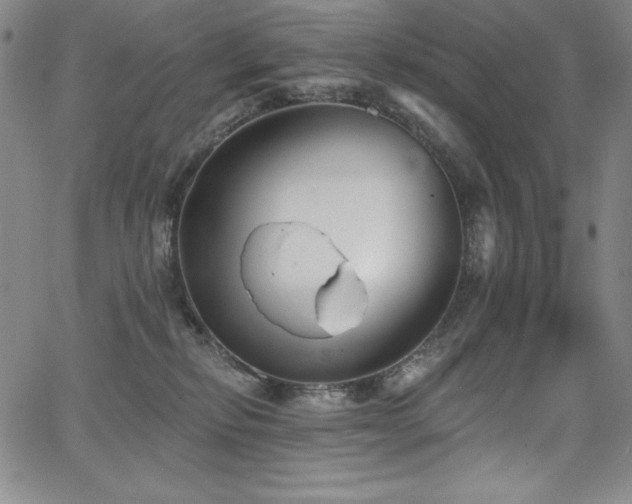 X0000068270278200604211118