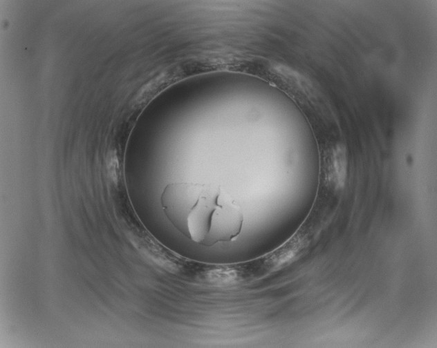 X0000068270279200604211118