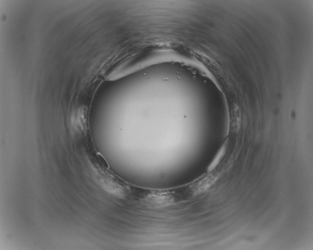 X0000068270280200604211118