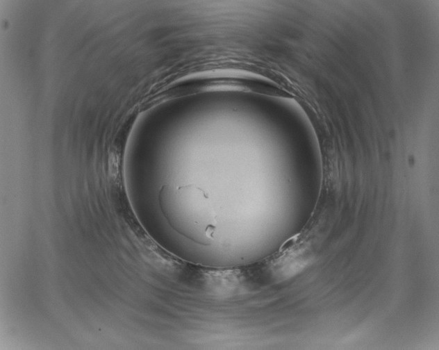 X0000068270281200604211118