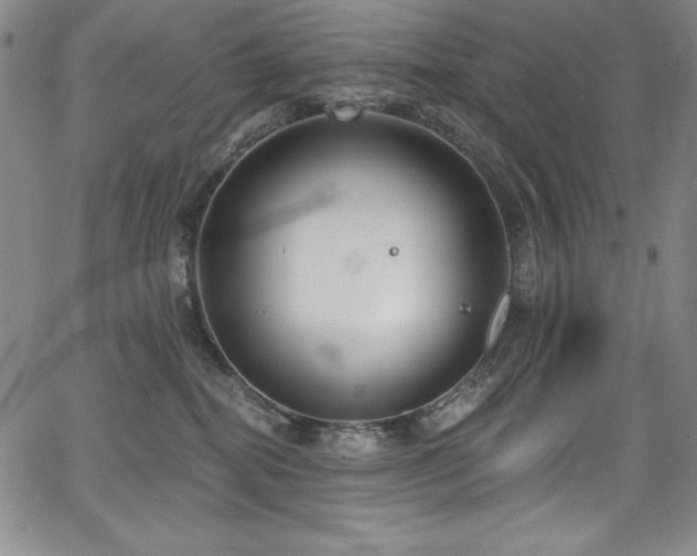 X0000068270282200604211118