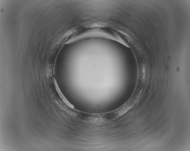 X0000068270284200604211118