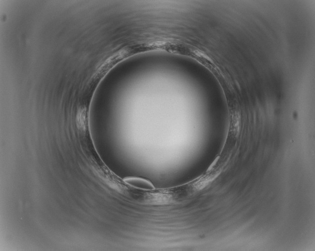 X0000068270286200604211118