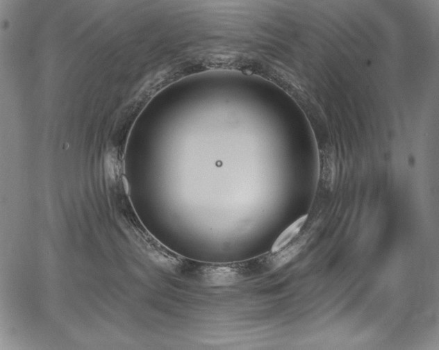 X0000068270287200604211118