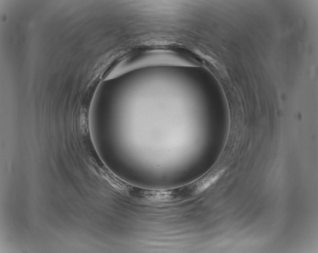 X0000068270288200604211118