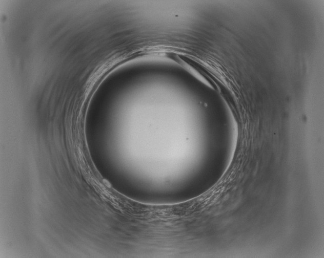 X0000068270289200604211117