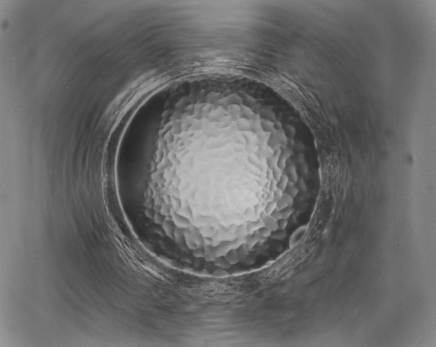 X0000068270290200604211117