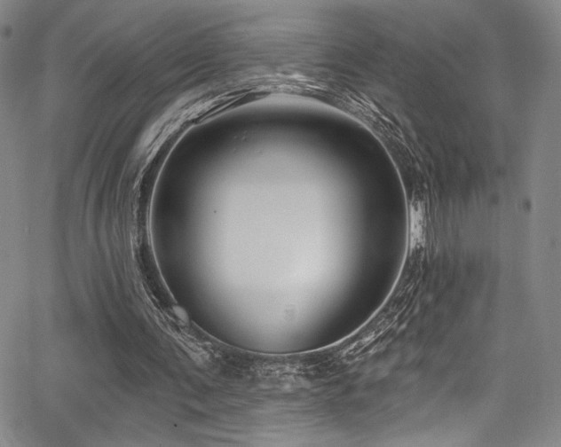 X0000068270291200604211117