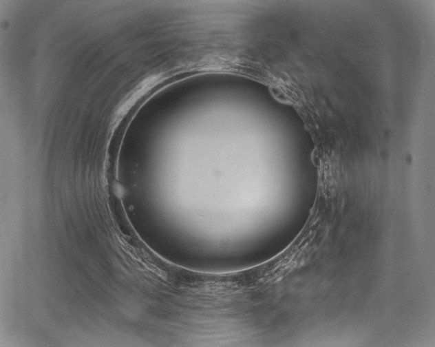 X0000068270292200604211117