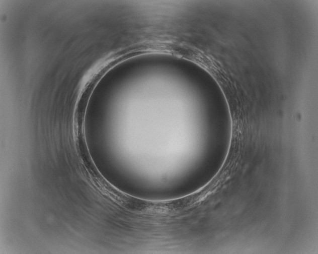 X0000068270294200604211117