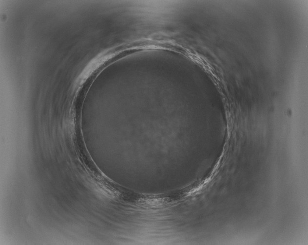 X0000068270295200604211117