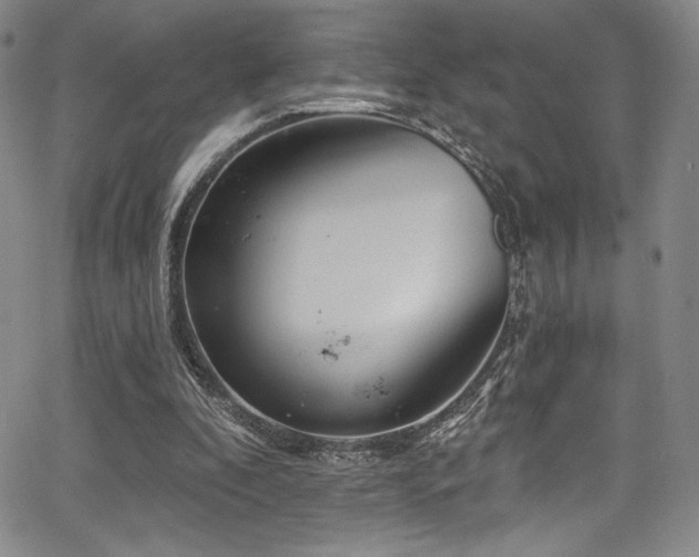 X0000068270296200604211117