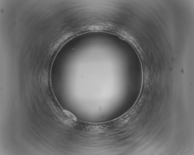 X0000068270297200604211117