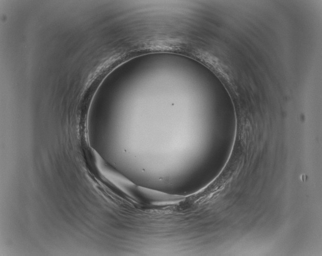 X0000068270299200604211117