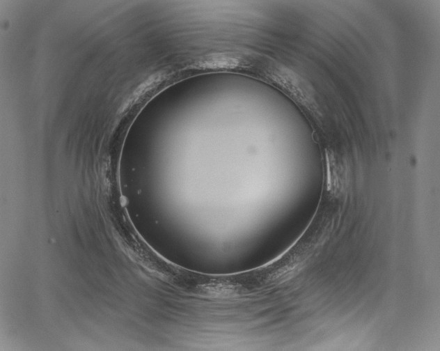 X0000068270300200604211117