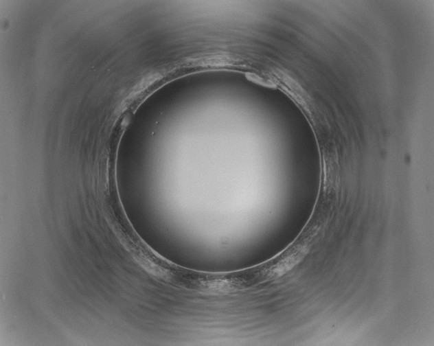 X0000068270301200604211117