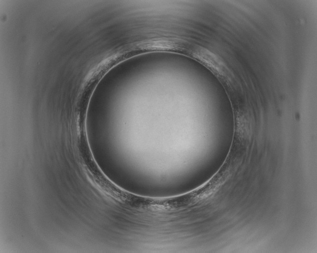 X0000068270302200604211117