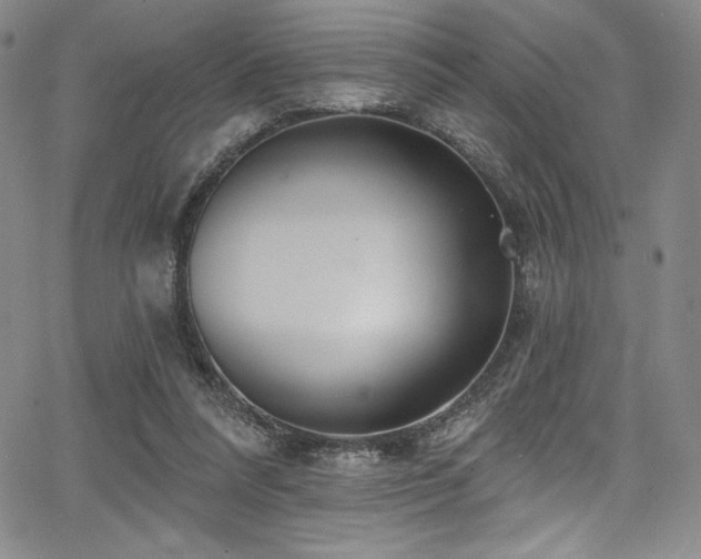 X0000068270304200604211117