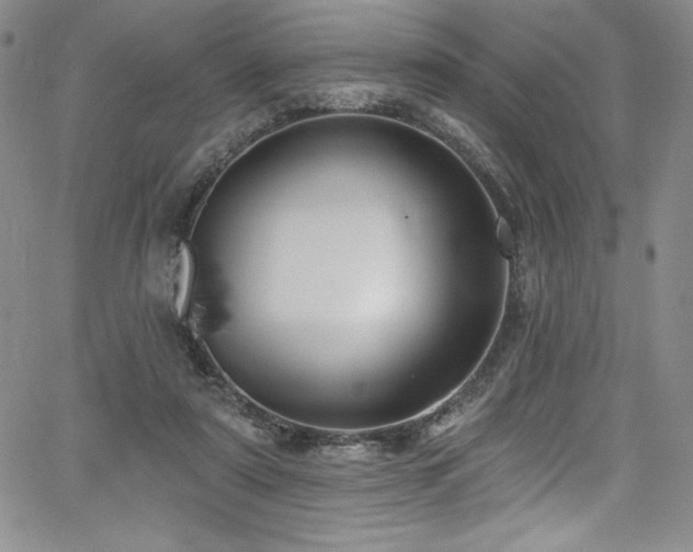 X0000068270307200604211117