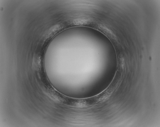 X0000068270308200604211117