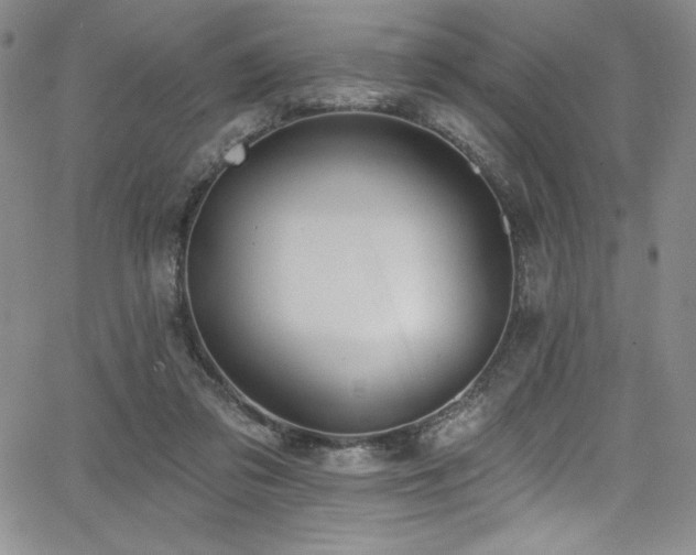 X0000068270309200604211117