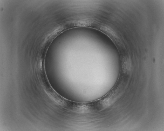 X0000068270310200604211117