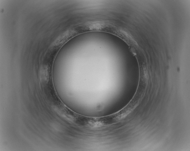 X0000068270311200604211117