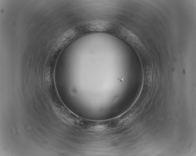 X0000068270312200604211117