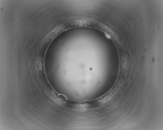 X0000068270313200604211117