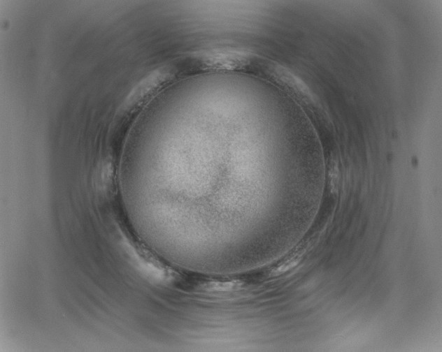 X0000068270314200604211117