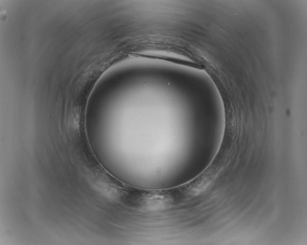 X0000068270315200604211117