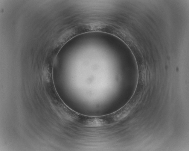 X0000068270316200604211117