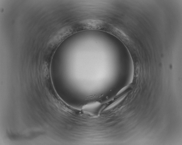 X0000068270318200604211117