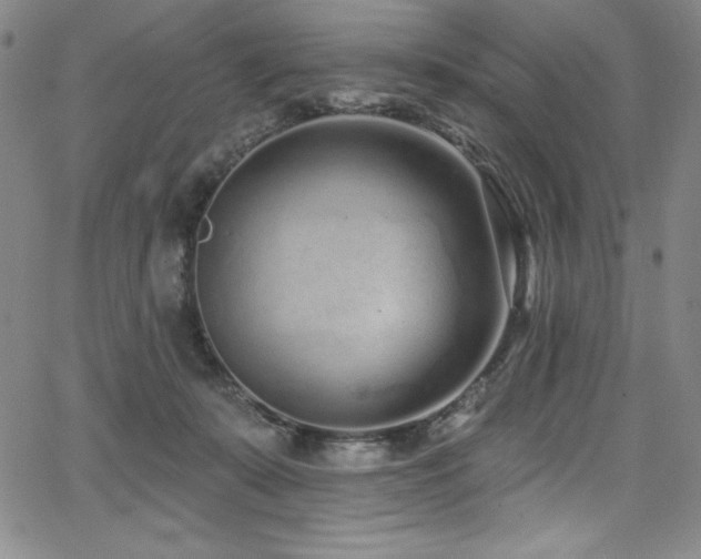 X0000068270319200604211117