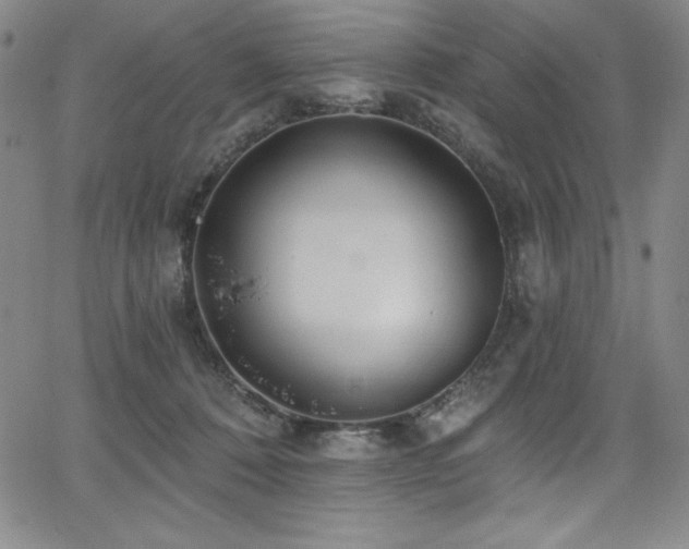 X0000068270320200604211117