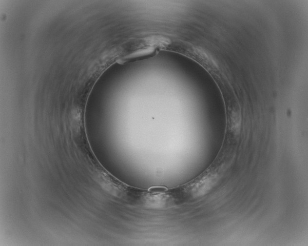 X0000068270321200604211117