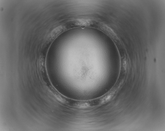 X0000068270322200604211117