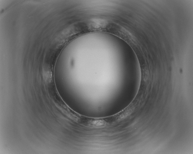 X0000068270324200604211117