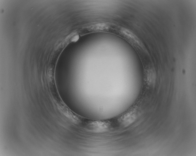 X0000068270326200604211117