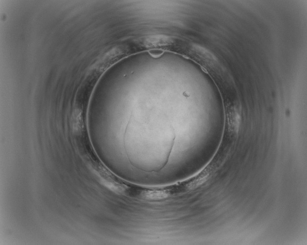 X0000068270327200604211117