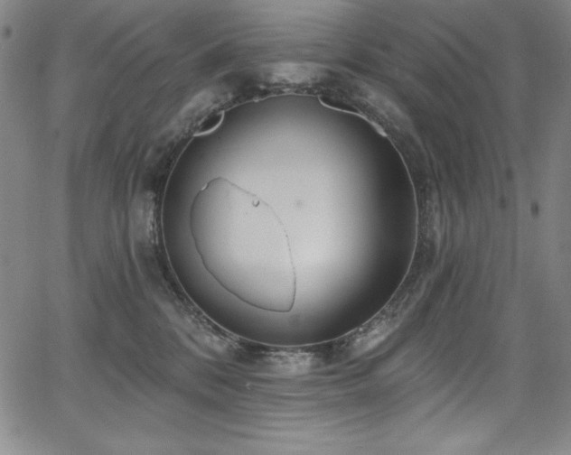 X0000068270328200604211117