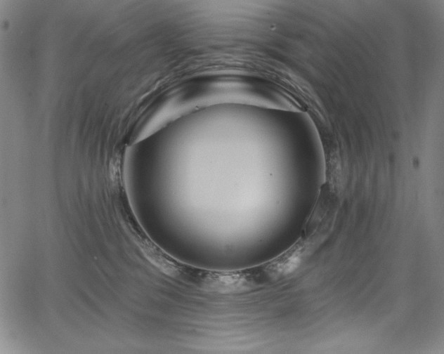 X0000068270329200604211117