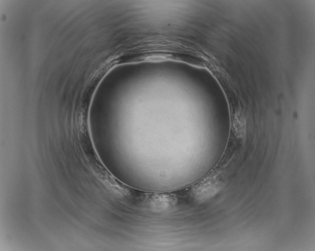 X0000068270330200604211117