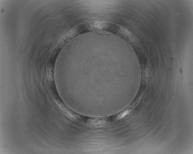 X0000068270331200604211117