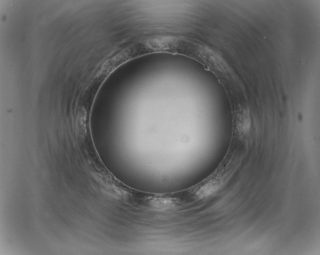 X0000068270332200604211117