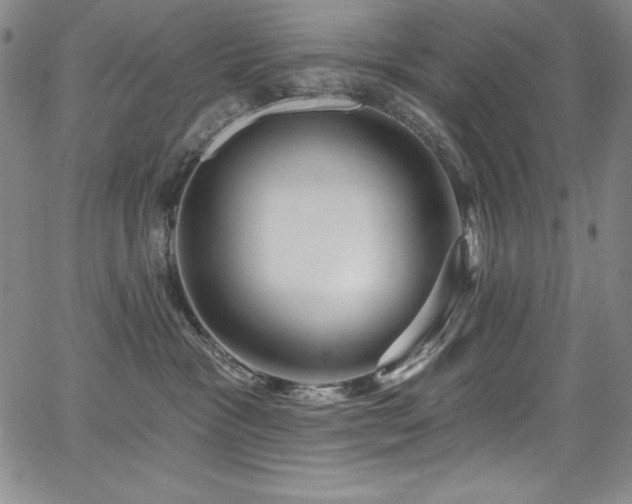 X0000068270333200604211117