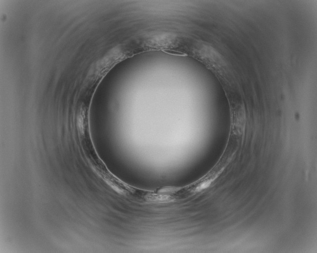 X0000068270334200604211117