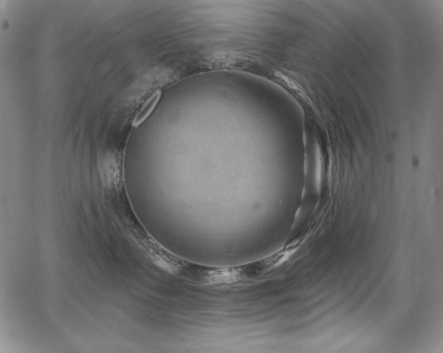 X0000068270335200604211117